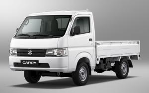 Suzuki Carry